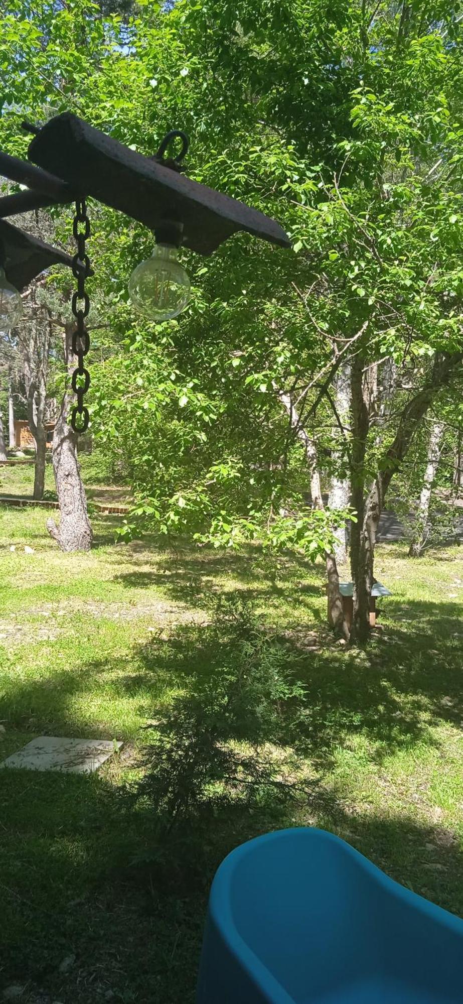 Libellule Domaine De La Mamounette Ferienhaus