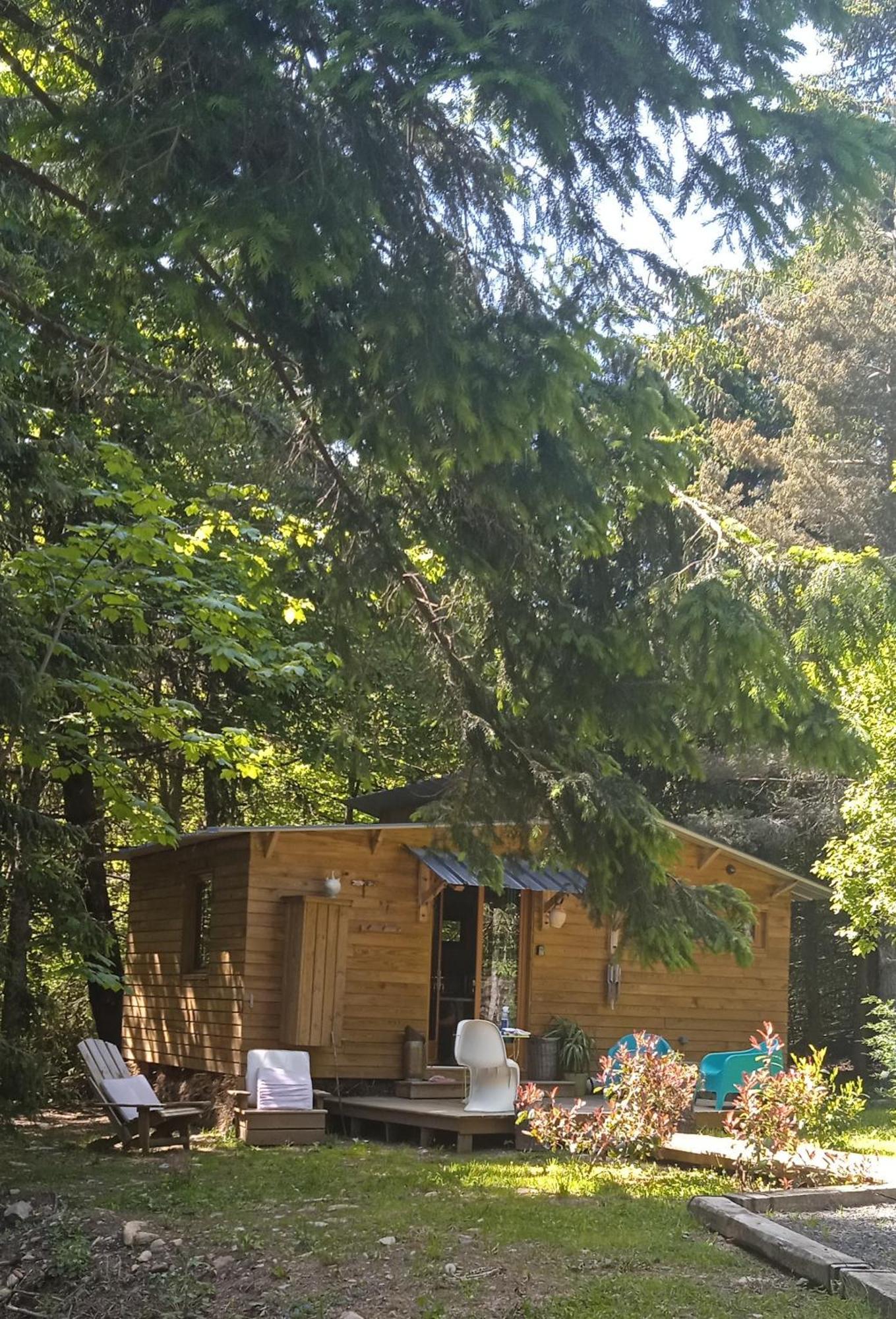 Libellule Domaine De La Mamounette