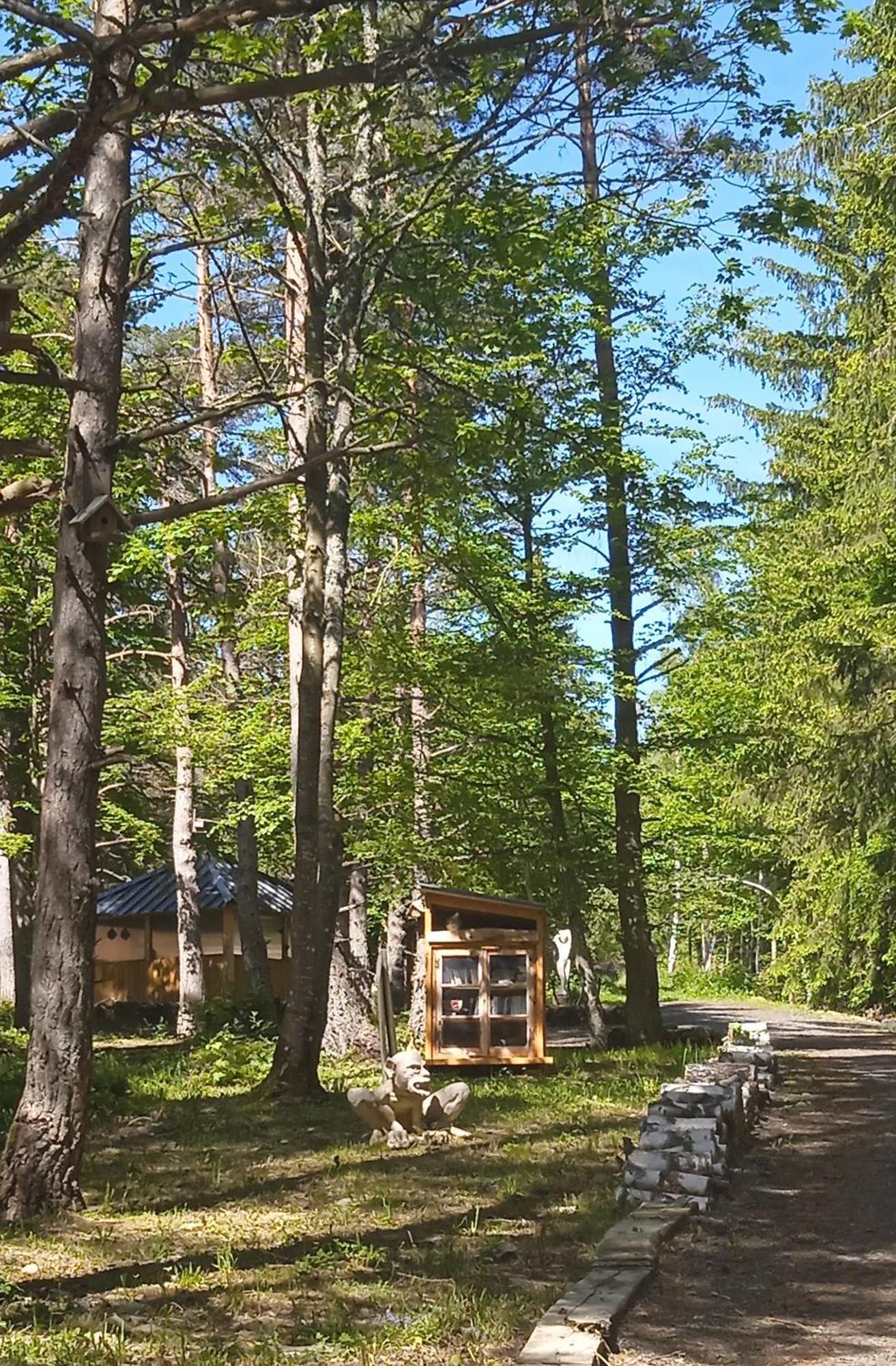 Libellule Domaine De La Mamounette *